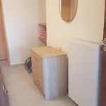 ανεμοδρουλησ * Kochilos