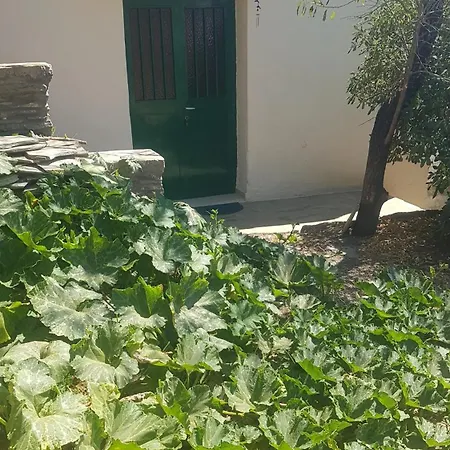 ανεμοδρουλησ *